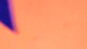 Alicia Machado | Mezcalent