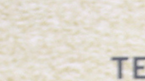 Ninel Conde | Mezcalent