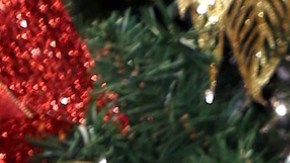 Francisca Lachapel | Mezcalent