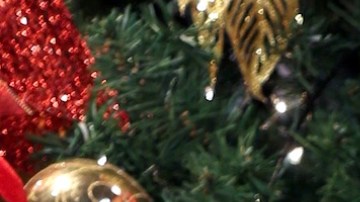 Francisca Lachapel | Mezcalent