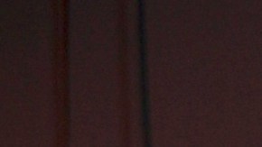 Gaby Spanic | Mezcalent