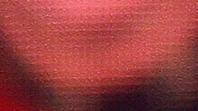 Laura Bozzo | Mezcalent