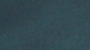 Miguel Varoni | Mezcalent