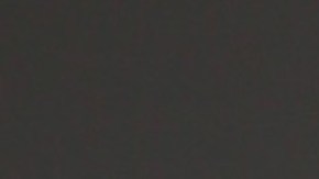 Ninel Conde | Mezcalent