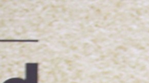 Elizabeth Gutiérrez y William Levy | Mezcalent