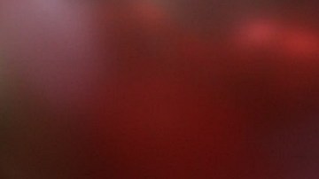 Ana Patricia Gámez | Mezcalent