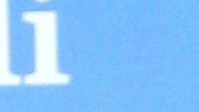 Jorge Bernal | Mezcalent