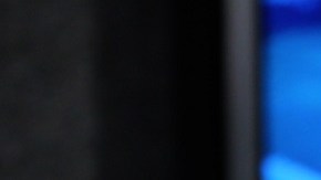 Adamari López y Alaïa | Mezcalent