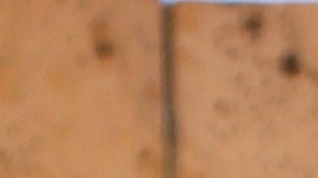 Neida Sandoval | Mezcalent