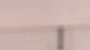 Rashel Díaz | Mezcalent