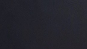 Rafael Araneda | Mezcalent