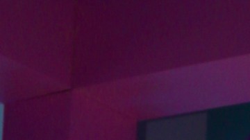 Adamari López | Mezcalent