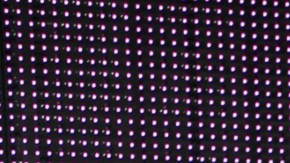 Aleyda Ortiz | Mezcalent