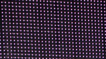 Aleyda Ortiz | Mezcalent