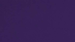 Alicia Machado | Mezcalent