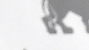 Kate del Castillo en una rueda de prensa, contó su experiencia con Sean Penn y el 'Chapo' Guzmán | (Photo credit should read ALFREDO ESTRELLA/AFP via Getty Images)