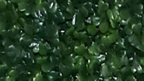 Francisca Lachapel | Astrid Stawiarz/Getty Images