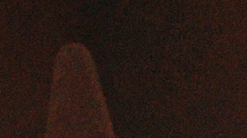 Eduardo Capetillo Jr