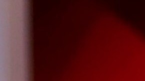 Myrka Dellanos en Telemundo