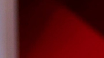 Myrka Dellanos en Telemundo