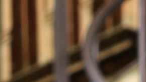 Lili Estefan, Raúl De Molina y Clarissa Molina en "El Gordo y La Flaca"