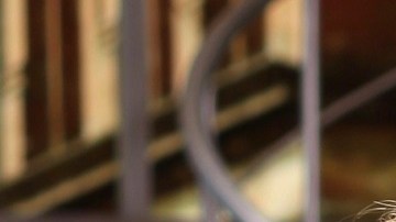 Lili Estefan, Raúl De Molina y Clarissa Molina en "El Gordo y La Flaca"