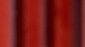 Ana Patricia Gámez en Enamorándonos