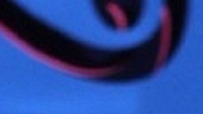 Chiquinquirá Delgado | Mezcalent