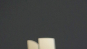 Lili Estefan y Thalía