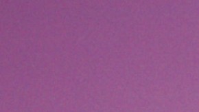 Francisca Lachapel en evento de People en Español