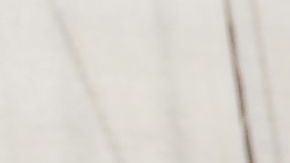 Will Smith y su esposa Jada Pinkett Smith