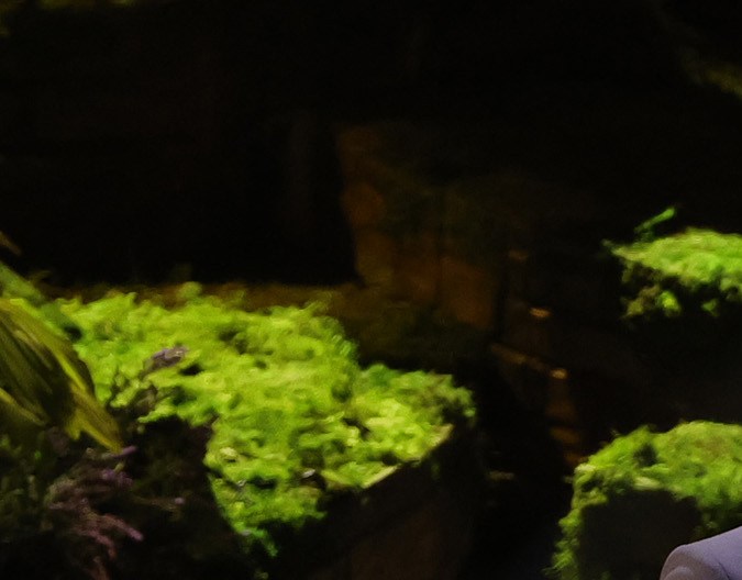 Sebastian Yatra en los Premios Oscar 2022