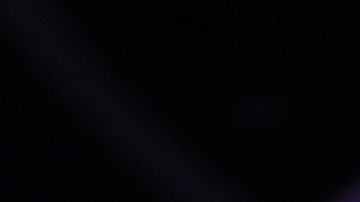 Jamie Lee Curtis sostiene a un perrito abandonado en los Premios Oscar 2022