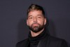 Ricky Martin | Michael Loccisano/Getty Images