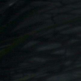 Susana Dosamantes es la madre de Paulina Rubio | Mezcalent