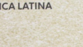 Wisin y su esposa Yomaira Ortiz