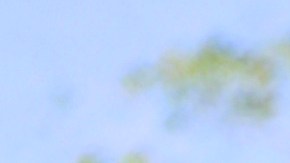 Nacho espera que Chyno se recupere para sacar su nuevo disco | Mezcalent