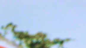 Nacho sacó nuevo disco | Mezcalent