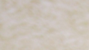 Andrea Meza, presentadora de televisión