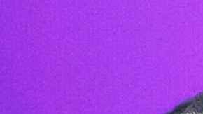 Pepe Aguilar, Gussy Lau y Ángela Aguilar