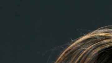 Mía Khalifa, Karol G y Becky G