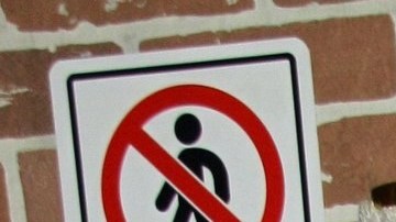 Mara Patricia Castañeda contrajo nupcias por segunda vez | Mezcalent