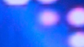 Raúl González, conductor de 'Despierta América'.