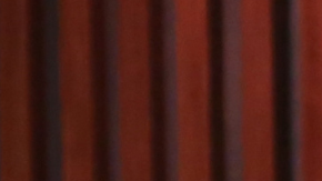 Ana Patricia Gámez y Rafael Araneda