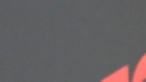 Leo Messi y Antonela Roccuzzo