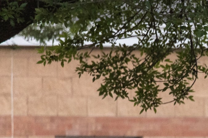 Tiroteo en escuela primaria de Texas