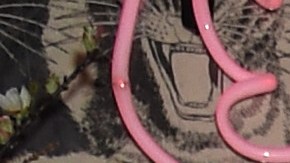 Parte de la familia Kardashian-Jenner.