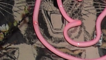 Parte de la familia Kardashian-Jenner.