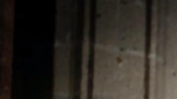 Marcus Ornellas en 'Mujer de nadie' | Mezcalent