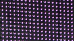 ¿Por qué Aleyda Ortiz está ausente del programa 'En Casa con Telemundo'?